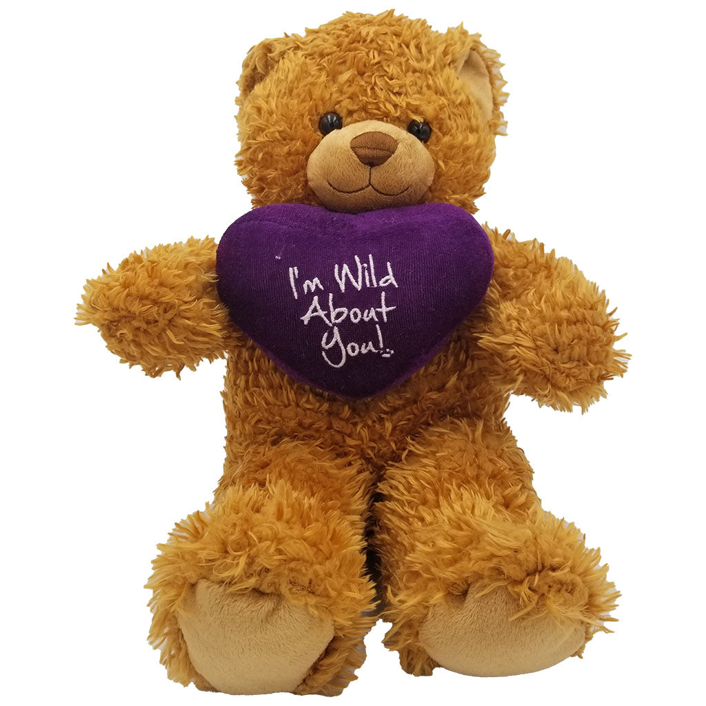 Teddy Bear Gifting: What Does Gifting A Teddy Bear Mean? – Goodlifebean